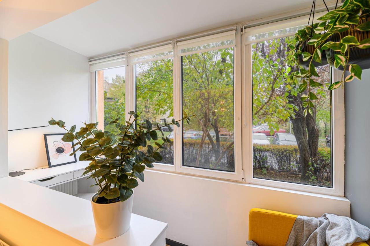Travelers Hideout - Central Apartment Брашов Екстер'єр фото